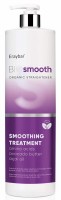 Erayba BioSmooth smoothing treatment (Крем-флюид для выпрямления волос)