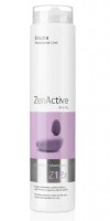 Erayba Zen Active Z12r preventive shampoo (Шампунь профилактический для укрепления корней волос)