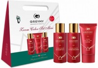 Greymy Zoom Color Set Mini (Набор миниатюр), 50+100+100 мл