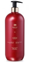 Greymy Zoom Color Shampoo (Шампунь для окрашенных волос (Оптический))