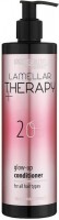 Prosalon Lamellar Conditioner (Ламеллярный кондиционер для блеска волос), 350 мл