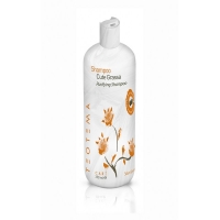 Teotema Sebum specific purifying shampoo (Шампунь для жирных волос)