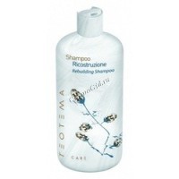 Teotema Shampoo ricostruzione rebuilding (Шампунь восстанавливающий), 10 мл