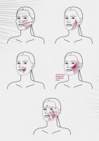 bioGEL The Zinc (Набор из 2 препаратов)