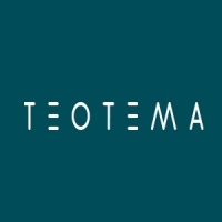 Teotema Lightening hair cream developer (Крем-проявитель)