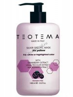 Teotema Silver specific mask (Тонирующая Серебряная маска)