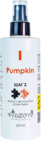Philosophy Pumpkin Tonic (Тоник c экстрактом семян тыквы, шаг 2), 250 мл