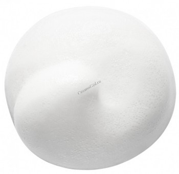 Gentle Bubble cleanser (Нежная очищающая пенка для сухой кожи), 200 мл