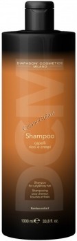 Lisap DCM Shampoo For Curly And Frizzy Hair (Шампунь для вьющихся и кудрявых волос с экстрактом бамбука)