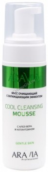 Aravia Professional Cool Cleansing mousse (Мусс очищающий с охлаждающим эффектом с алоэ вера и аллантоином), 160 мл