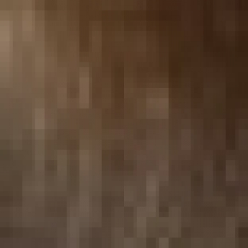 Salerm Color Soft (Полуперманентный краситель без аммиака), 100 мл