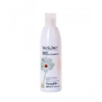 Farmavita Mint shampoo (Ментоловый шампунь), 250 мл