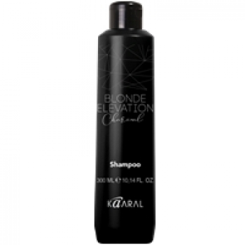 Kaaral Blonde Elevation Charcoal Shampoo (Чёрный угольный тонирующий шампунь для волос)