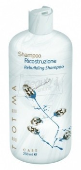 Teotema Shampoo ricostruzione rebuilding (Восстанавливающий шампунь)
