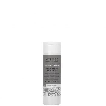 Alterego Italy Restorative Shampoo (Восстанавливающий шампунь для непослушных волос)