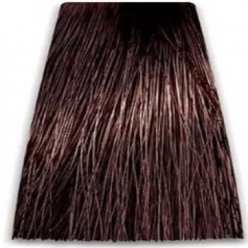 Prosalon Intensis Color Art Permanent Color Cream (Краска для волос), 100 мл