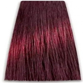 Prosalon Intensis Color Art Permanent Color Cream (Краска для волос), 100 мл