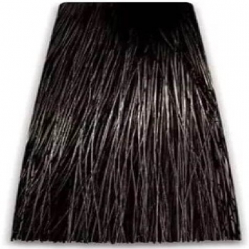 Prosalon Intensis Color Art Permanent Color Cream (Краска для волос), 100 мл