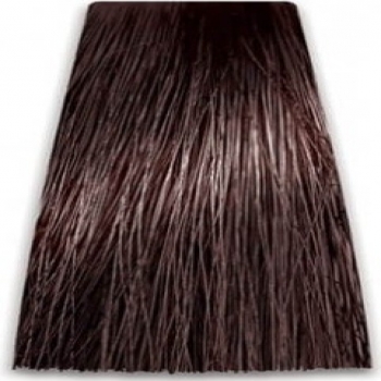 Prosalon Intensis Color Art Permanent Color Cream (Краска для волос), 100 мл