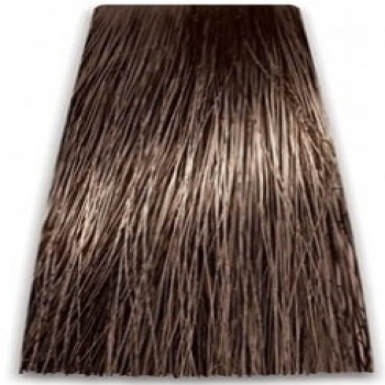 Prosalon Intensis Color Art Permanent Color Cream (Краска для волос), 100 мл