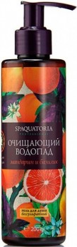 Spaquatoria Shower Gel (Очищающий водопад «Мандарин и базилик»)