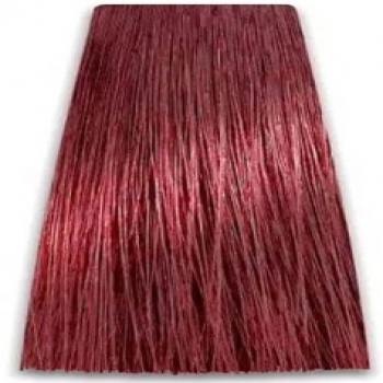 Prosalon Intensis Color Art Permanent Color Cream (Краска для волос), 100 мл