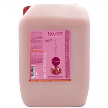 Аналог в описании Salerm Pomegranate Shampoo (Гранатовый шампунь)