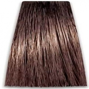 Prosalon Intensis Color Art Permanent Color Cream (Краска для волос), 100 мл
