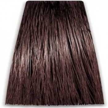 Prosalon Intensis Color Art Permanent Color Cream (Краска для волос), 100 мл