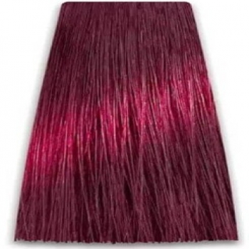 Prosalon Intensis Color Art Permanent Color Cream (Краска для волос), 100 мл
