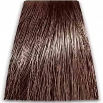 Prosalon Intensis Color Art Permanent Color Cream (Краска для волос), 100 мл