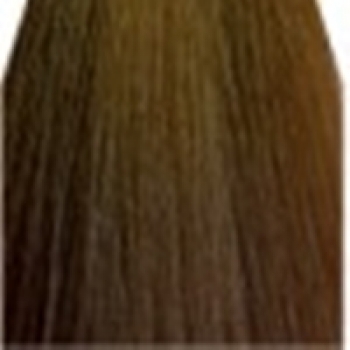 Epica Professional ColorSolution (Кислая гель-краска), 100 мл