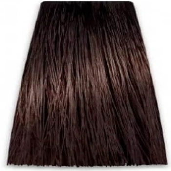 Prosalon Intensis Color Art Permanent Color Cream (Краска для волос), 100 мл