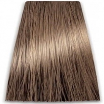 Prosalon Intensis Color Art Permanent Color Cream (Краска для волос), 100 мл