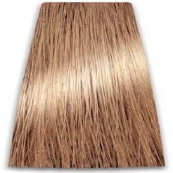 Prosalon Intensis Color Art Permanent Color Cream (Краска для волос), 100 мл