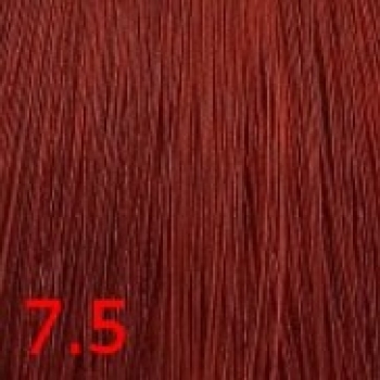Cehko Color Explosion (Перманентная крем-краска для волос), 60 мл