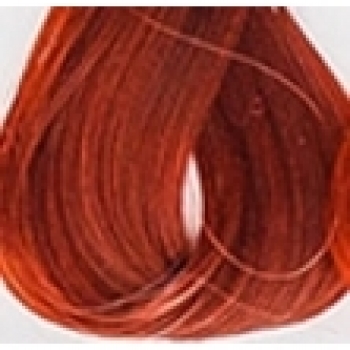 Lakme Gloss Color Rinse (Крем-краска для волос тонирующая), 60 мл