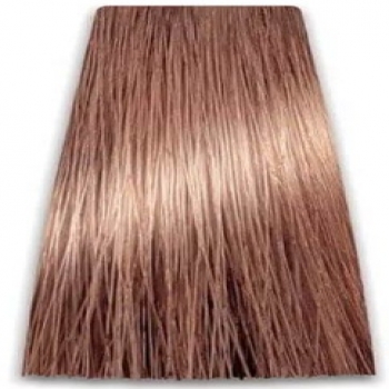 Prosalon Intensis Color Art Permanent Color Cream (Краска для волос), 100 мл