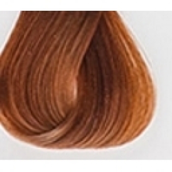 Lakme Gloss Color Rinse (Крем-краска для волос тонирующая), 60 мл
