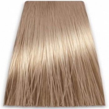 Prosalon Intensis Color Art Permanent Color Cream (Краска для волос), 100 мл