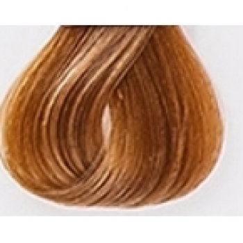 Lakme Gloss Color Rinse (Крем-краска для волос тонирующая), 60 мл