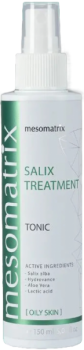 Mesomatrix Salix Treatment (Тоник для жирной и проблемной кожи с био салициловой и молочной кислотой)