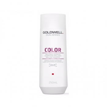 Goldwell Dualsenses Color Brilliance shampoo (Шампунь для блеска окрашенных волос)