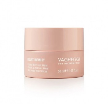 Vagheggi Delay Infinity Night Cream (Ночной крем anti-age)