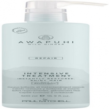 Paul Mitchell Intensive Treatment (Интенсивно восстанавливающая маска для волос)