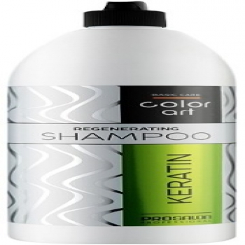 Prosalon Basic Care Color Art Shampoo (Регенерирующий шампунь с кератином)