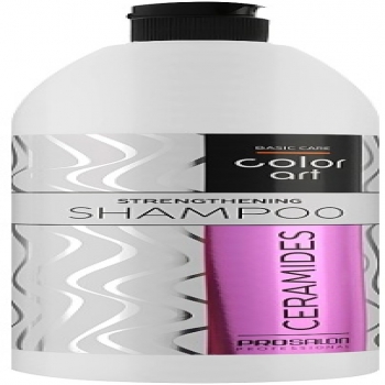 Prosalon Basic Care Color Art Shampoo (Укрепляющий шампунь с керамидами)