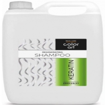 Prosalon Basic Care Color Art Shampoo (Регенерирующий шампунь с кератином)