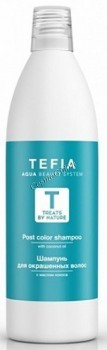 Tefia Post color shampoo (Шампунь для окрашенных волос), 1000 мл