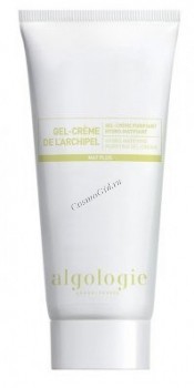 Algologie Moisturizing Gel Cream (Увлажняющий матирующий гель - крем для жирной и смешанной кожи)